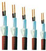 《供应》天津扩音系统用电缆厂家，扬声器电缆生产