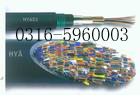 HYA23电话电缆销售，电话电缆HYA22厂家，