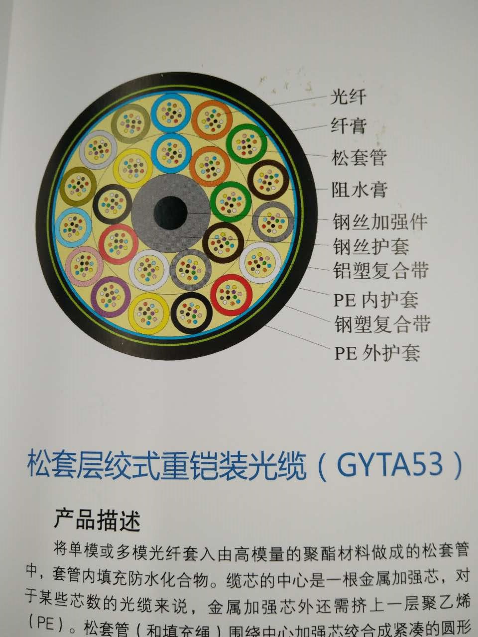 GYTA53-8B1²ӻֱ