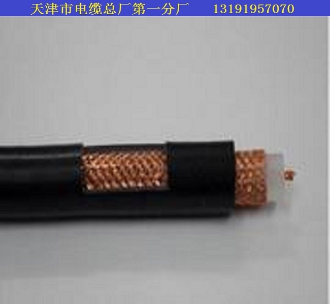 腾冲WDZB-DJYYP-6X2X0.5电缆