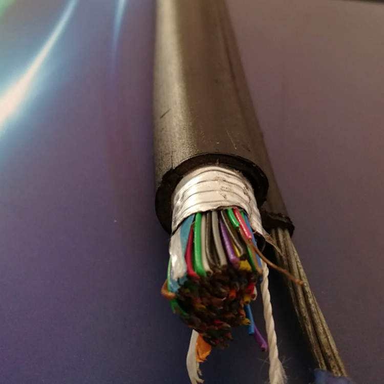 青海信号电缆WDZB-PTYA23-28×2.5mm2国标