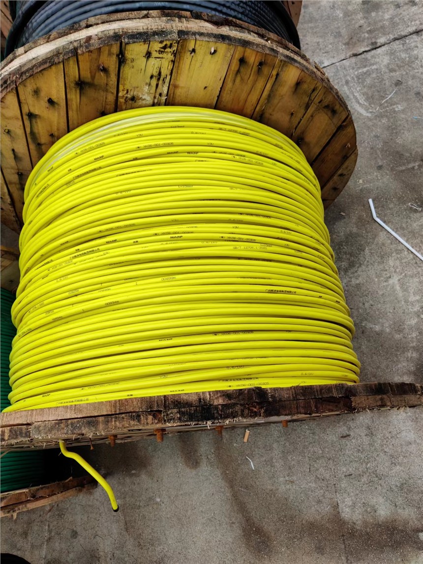 广州南洋电缆集团厂家供应YJV-0.6/1kV-1*10系列铜芯交联电力电缆！