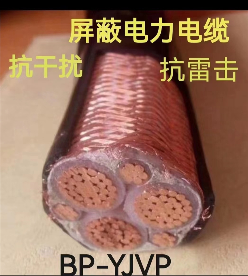 泰安银顺BPYJVP12  3*25+3*1.0变频电缆厂家直销