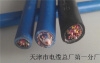 天津MVV煤矿用电力电缆4*4一米厂家供应